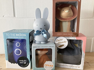 Spaarpot / Nachtlamp