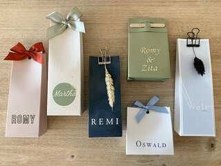 HOGE EN LAGE DOOSJES