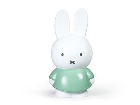 Nijntje moody green dick bruna