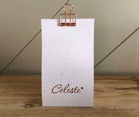 snoepzak spetters clip en naamsticker ros&eacute;goud