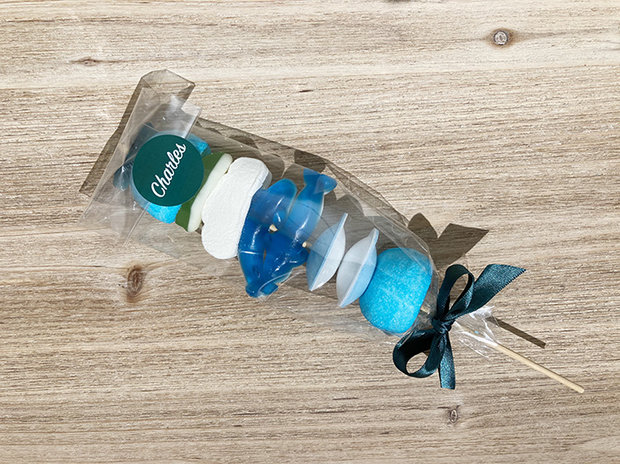 brochette-jongen-blauw-dolfijn